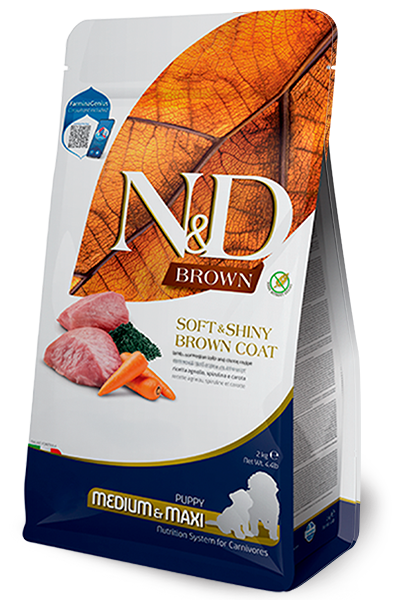 Lamb, Norwegian Kelp, and carrot Puppy Medium & Maxi